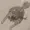 belzehbub's icon
