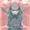 XDRASTY's icon