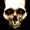 skull31's icon