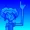 LOL805MEDIA's icon