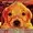 819292's icon