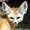 FennecFaith's icon