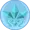 FlashCrystal's icon