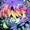 AviarySDN's icon