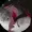 Artyfunnyman's icon