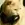 PuperPlaton2