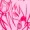 akafae's icon