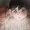 Clemmie25's icon