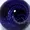 maximusiktrans's icon