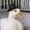 BroDuck3's icon