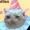 ftangarang2's icon