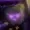 Hokkur's icon
