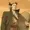 JohnWikjer's icon