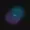 morphedstill's icon