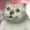 rigrufy's icon