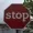RocksAreEdible's icon