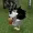 Rials1029's icon