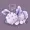Spiderwolfplayz's icon