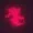 kohrabi's icon