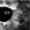 Monomidshow's icon