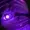 ZVRLY's icon