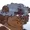 OscarSilly's icon