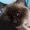 TACTICKS's icon