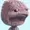 SourMan380's icon