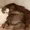 Glorbonto's icon