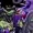 shawnlouie's icon