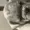 poghhdjdde's icon