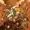B1asphemy's icon
