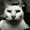 Penguin23xd's icon
