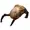 XZY1's icon