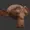 AlephZahn's icon