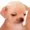 HotCh33toes's icon
