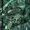 p1couxd's icon