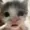 idkdidntthinkyet's icon