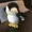 AngryBirds2012's icon