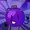 SpongyCake's icon