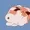 fishup's icon