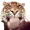 Beaneatter7's icon