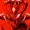 VulcanSurge's icon