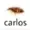 Patriciozao's icon
