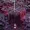 GONNEX's icon