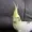 ThisIsDogeWoW690's icon