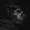DeadSnuff's icon