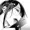Anonymussy69's icon