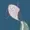 NotherNothin's icon