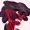 ScatterHavock's icon